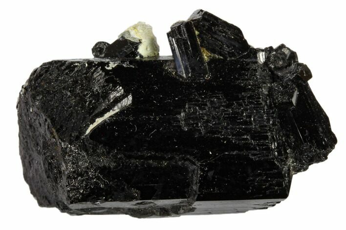 Black Tourmaline (Schorl) Crystal Cluster - Namibia #117511